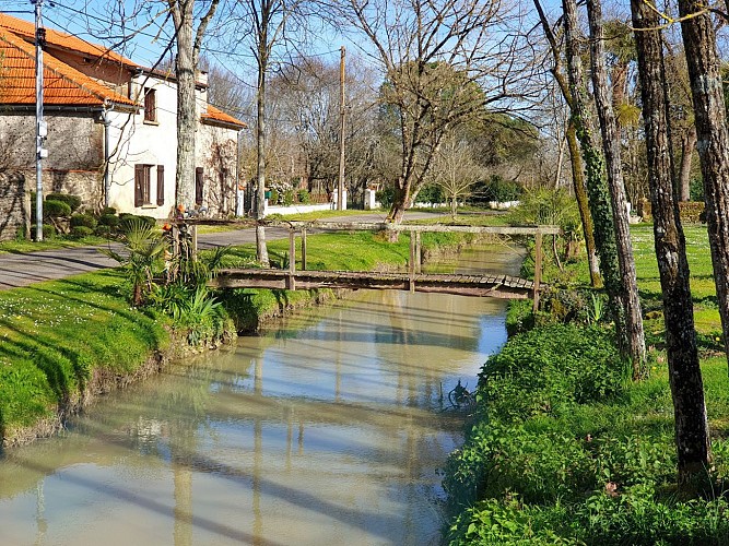 Sentier de l'Adour de Gée Rivière à Barcelonne du Gers