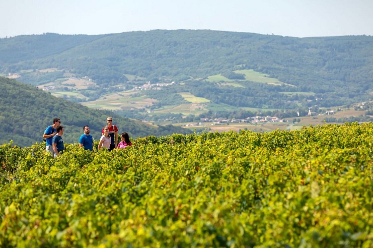 saint-amour-bellevue-randonnee-etienne-ramousse-images-macon-sud-bourgogne-017