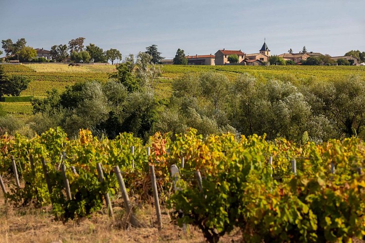 saint-amour-bellevue-village-paysage-etienne-ramousse-images-macon-sud-bourgogne-062