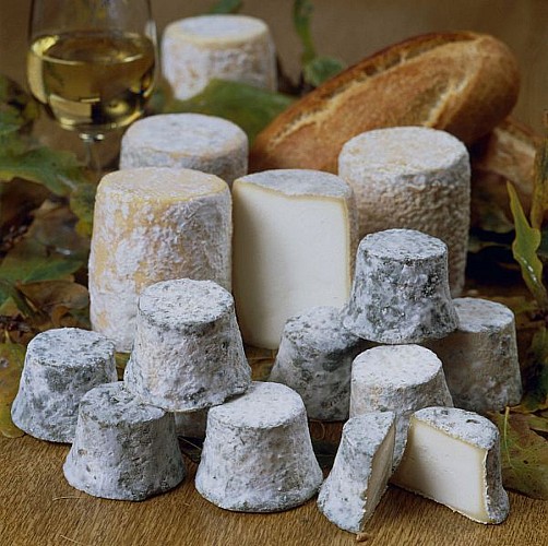 Fromages de chèvre