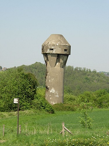 Tour du Fort