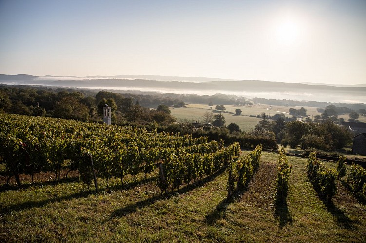 Vignoble du Revermont
