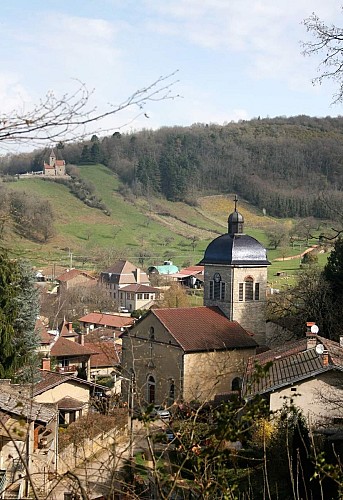 Vignoble du Revermont