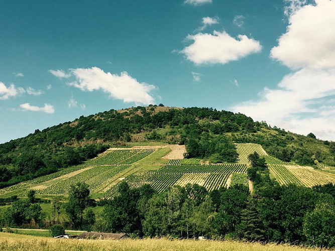 Domaine de la Dentelle - Gravelles