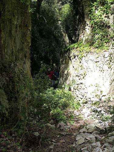Les gorges de Lioux