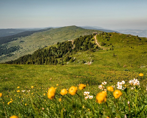 Grande Traversée du Jura à pied: von Borne au Lion nach Culoz_Champfromier