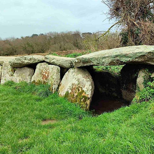 Allée couverte - Mégalithes - Trégastel