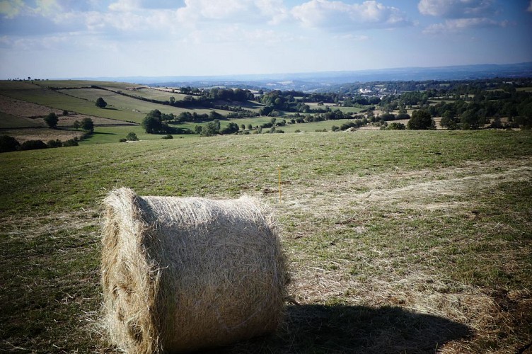 paysage