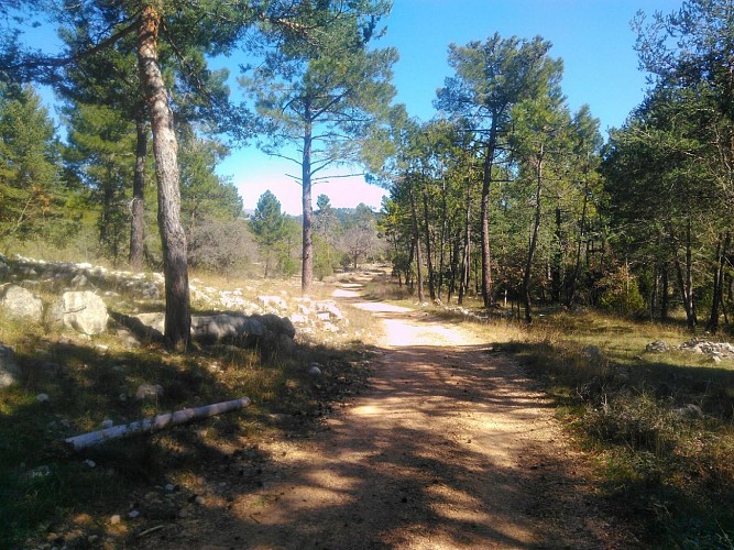 Toujours vers Cabris