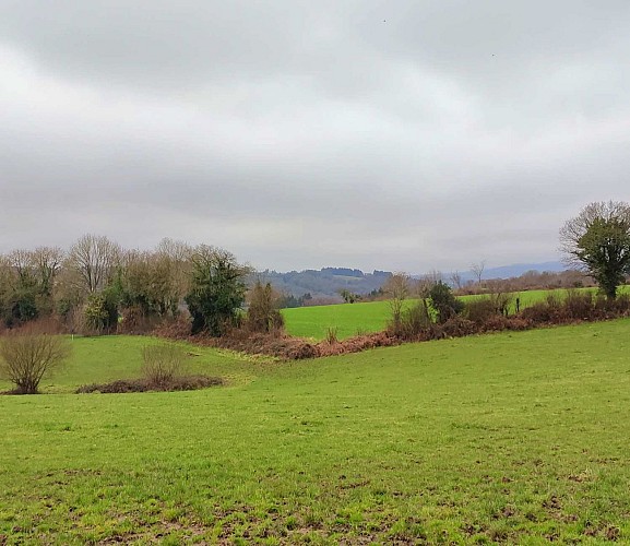 En chemin - panorama