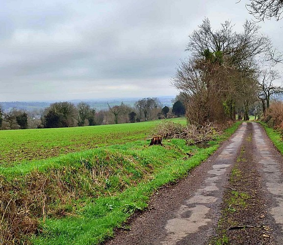 Sur une voie communale