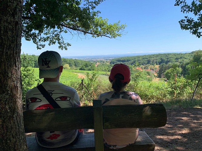 Un moment pour contempler la vue