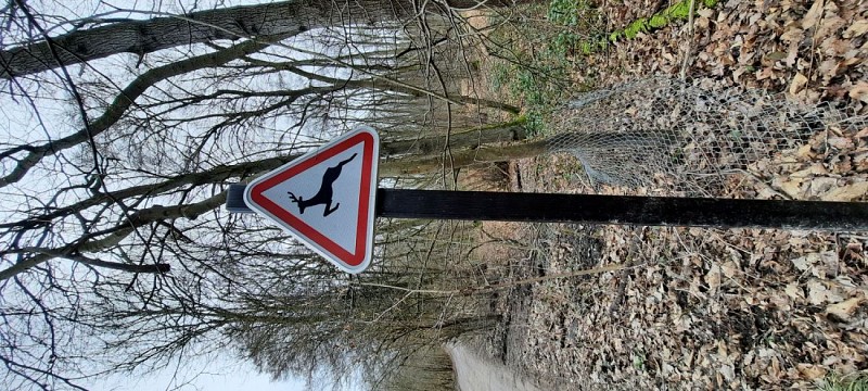 LES BOIS DE LAYE 13km