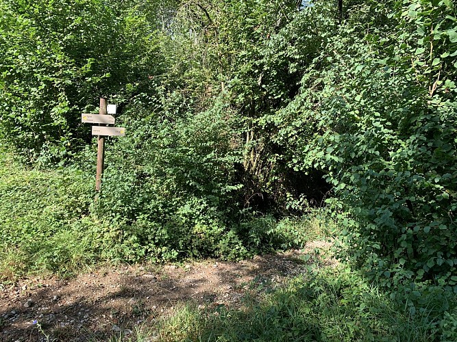 Wandern - Condamine-Rundweg um Izernore