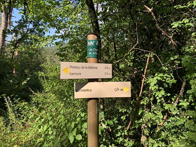 Randonnée - Circuit Condamine autour d'Izernore