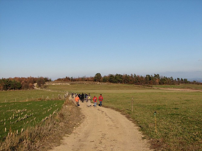 Le sentier du petit patrimoine - sur les sentiers des babets du haut-Forez