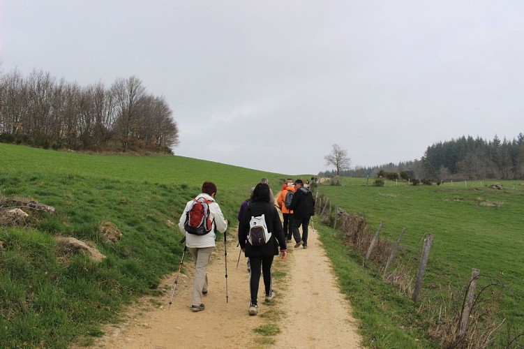 Le circuit d'Augel - Sur les Sentiers des Babets du Haut-Forez