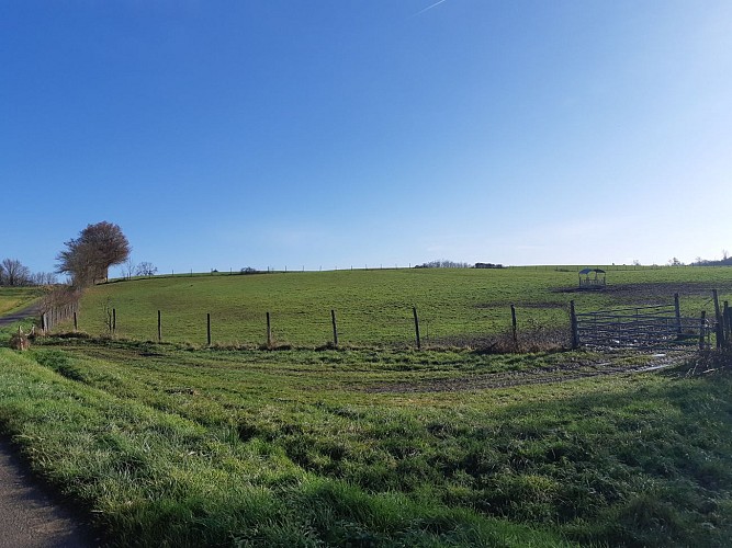 Sur les chemins de St Didier d'Aussiat