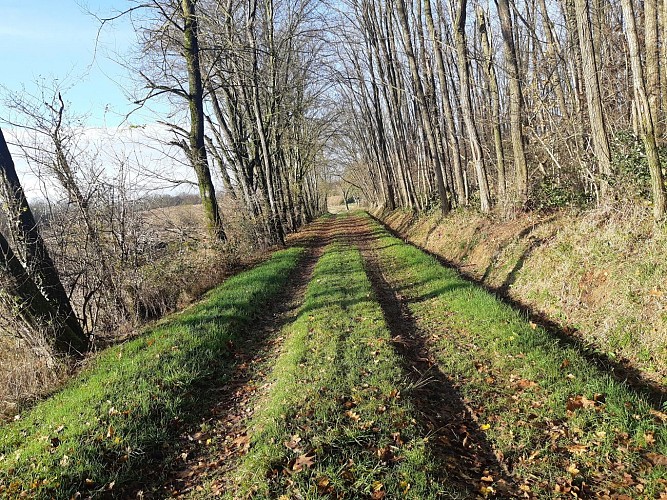 Sur les chemins de St Didier d'Aussiat