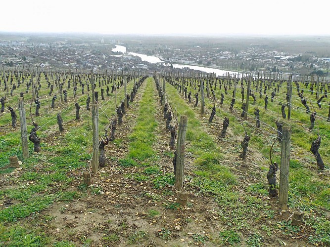 Joigny et la Côte Saint-Jacques