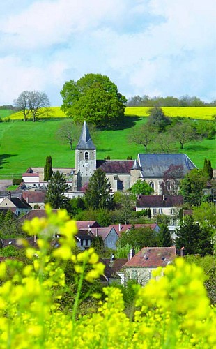Chaumes et futaies à Bellechaume