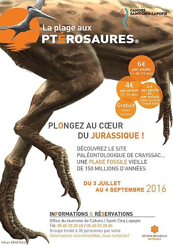 Sur La Route Des Dinosaures