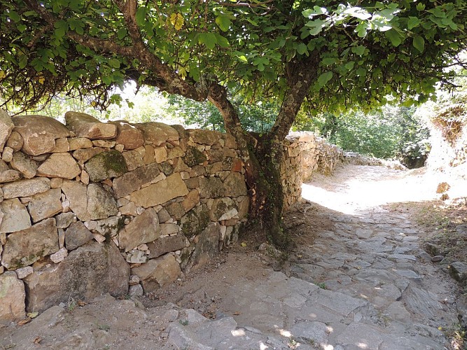 Le sentier du patrimoine A Sarra di Scopamena