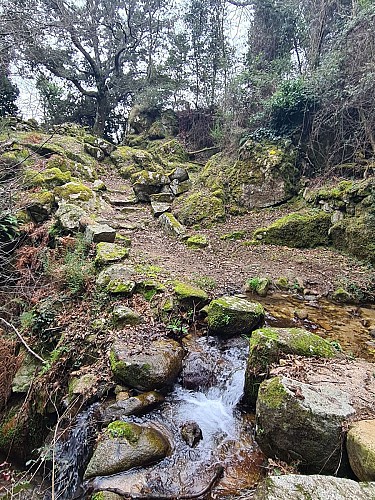 Boucle des anciens jardins/vergers de Serra di Scopamena par Sorbollano