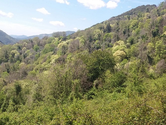 Boucle des anciens jardins/vergers de Serra di Scopamena par Sorbollano