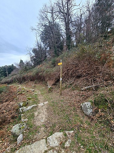 Boucle des anciens jardins/vergers de Serra di Scopamena par Sorbollano