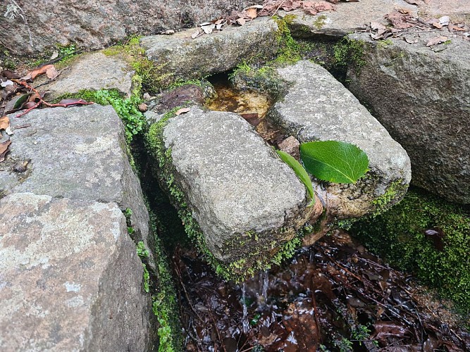 Boucle des anciens jardins/vergers de Serra di Scopamena par Sorbollano