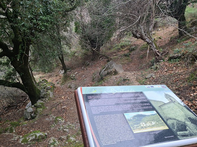Boucle des anciens jardins/vergers de Serra di Scopamena par Sorbollano