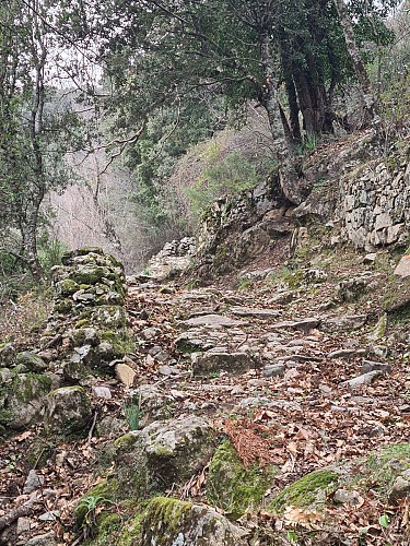 Mare a mare vers Santa Lucia di Talla