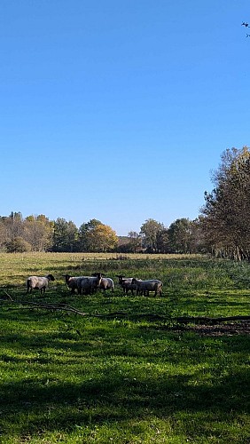 Sentier des gouffres - Les Gours_Les Gours