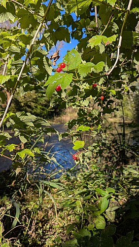 Sentier des gouffres - Les Gours_Les Gours