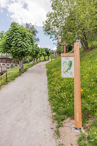 Calvary Nature Trail