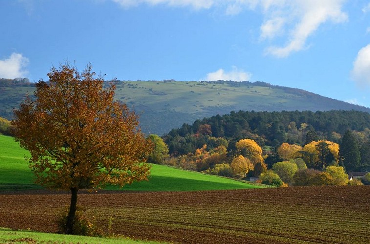 GR® de Pays Tour du Revermont