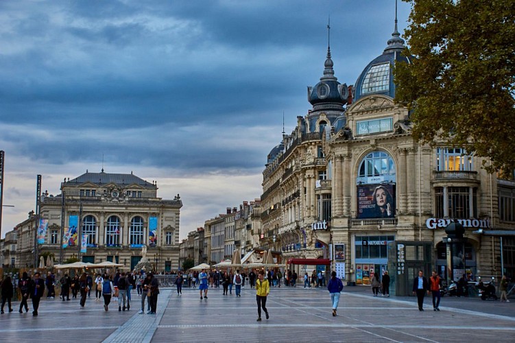 montpellier en 1 jour