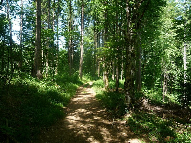 Le circuit des crêtes