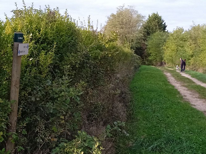 Bâgé-Dommartin | Circuit de la Pérouse