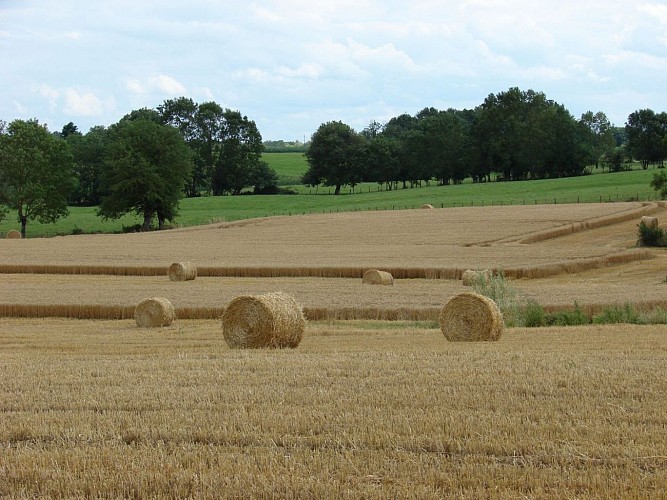 Saint-Etienne-sur-Reyssouze