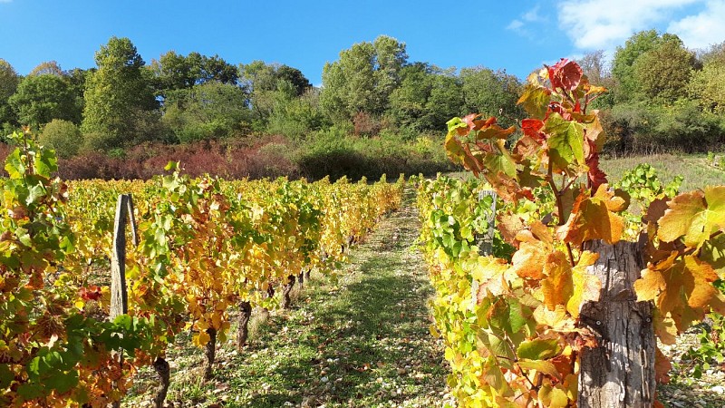 Visita a piedi: i quattro villaggi