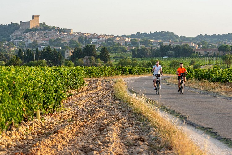 EV17 - Via Rhôna - Lapalud > Orange > Avignon