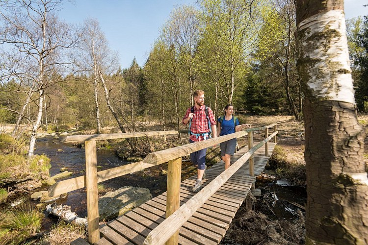 Randonnée dans les Hautes Fagnes