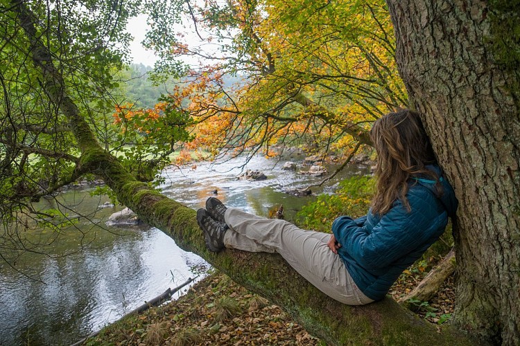 Vallée de l'Amblève