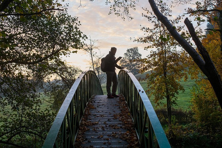 Vallée de l'Amblève
