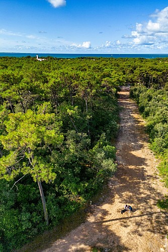 Entre dunes et marais