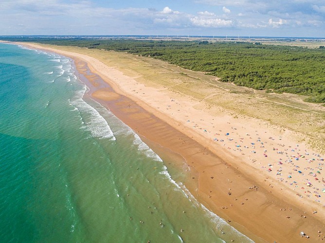 Entre dunes et marais