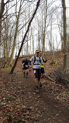 Ecotrail de Paris 80