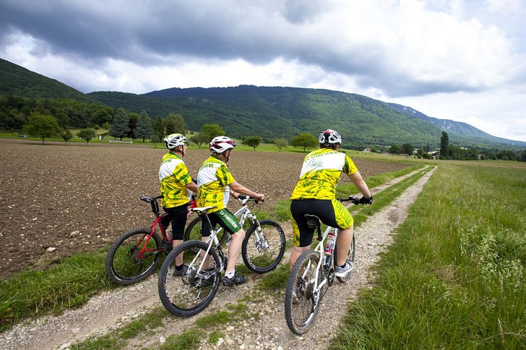 VTT sur la Voie du Tram